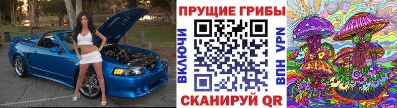 Галлюциногенные грибы мухоморы  Щучье 