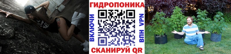 наркотики ссылка на мегу ONION Конопля Ganja Щучье